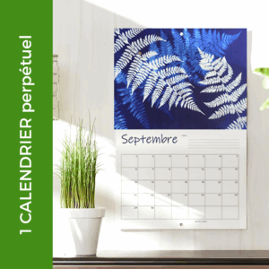 Calendrier perpétuel
